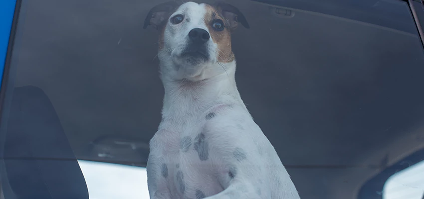 Car Lockout Solutions in Villa Park, California